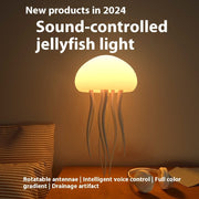 Jellyfish Lamp By Karietty